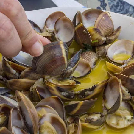 B71 - Pipas House In *